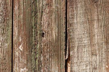 Old wood and moss background