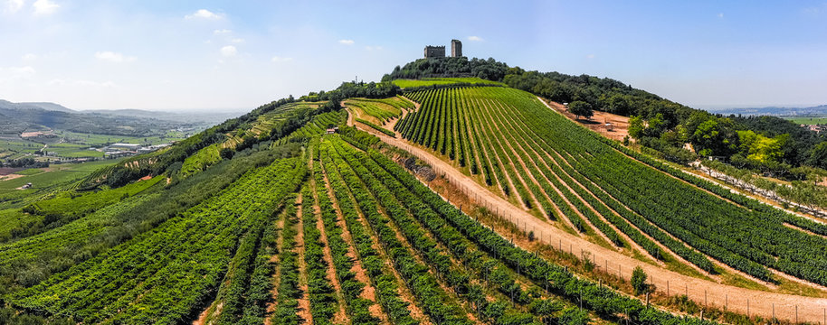 Luftaufnahme der Weinberge um Illasi in der Provinz Verona, Venetien, Italien