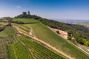 Luftaufnahme der Weinberge um Illasi in der Provinz Verona, Venetien, Italien