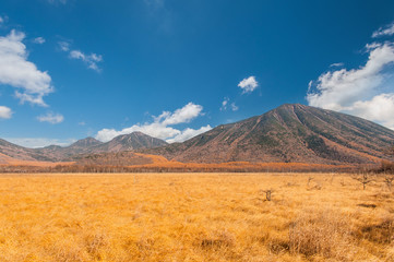 Naklejka premium Autumn at Senjogahara plateau in Nikko national park, Nikko Tochigi, Japan.