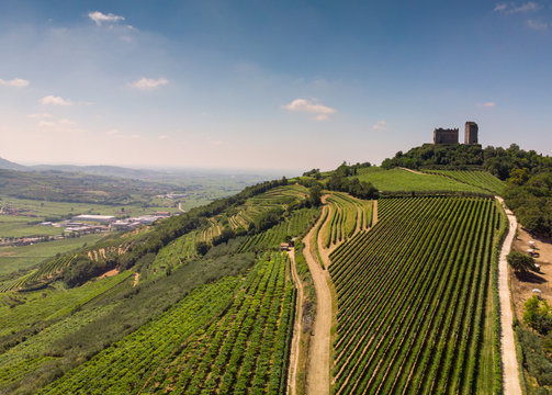 Luftaufnahme der Weinberge um Illasi in der Provinz Verona, Venetien, Italien