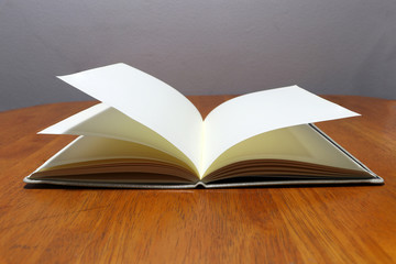 Opened blank book on wooden table.