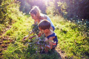 Mother and son picking flowers / herbs in nature.