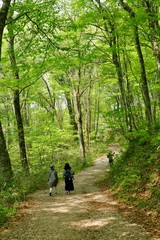 《十二湖の四季》青森県深浦町