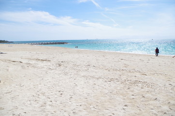 Fototapeta na wymiar 砂浜と海