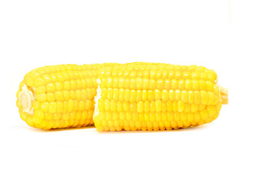 corn isolated on white background