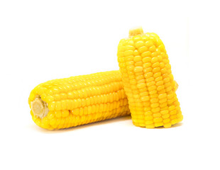 corn isolated on white background