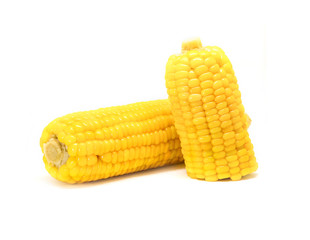 corn isolated on white background