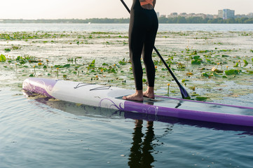 SUP Stand up paddle board woman paddle boarding