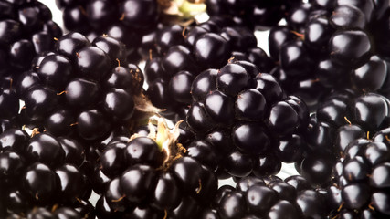 studio macro photo of blackberry for background