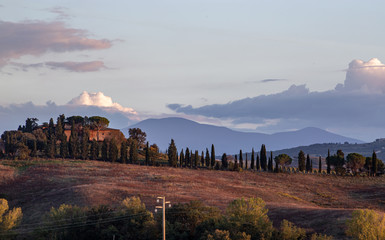 Tuscany fields and olive groves at sunrise