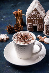 Hot winter sweet cocoa drink with marshmallows and ginger cookies