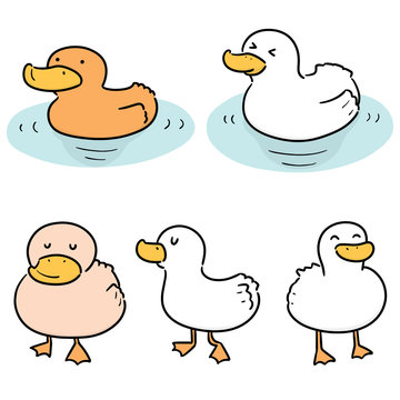 vector set of duck