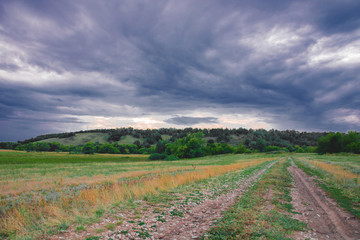 Obraz premium country road in the field