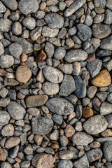 Round sea pebbles background.