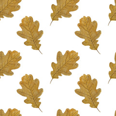 Pattern Autumn oak leaves Illustrations Watercolor Botanical Digital paper Textile Autumn fall decor Wallpaper Scrapbooking