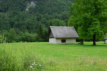 Fototapeta na wymiar old wooden house in a field