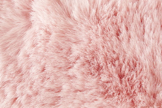 Pink Fur Background Images – Browse 124,609 Stock Photos, Vectors, and  Video