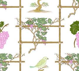 Vine, grape and bird seamless pattern