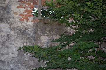 Wall with windows in the old abandoned church