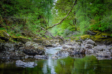 Beautiful landscape of Scotland ,UK.Stream with rocks and fallen tree in forest.