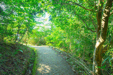 福浦橋の景色