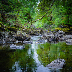 Beautiful landscape of Scotland ,UK.Stream with rocks in forest.