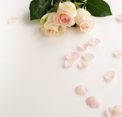 Flowers composition background. beautiful pink roses and petals on white     background.Top view.Copy space