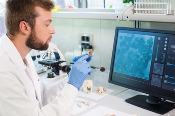 Archaeologist working in natural research lab. Laboratory assistant cleaning animal bones....