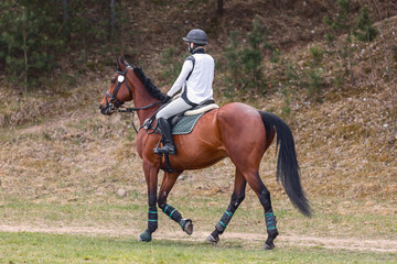 portrait of horse and rider before eventing competition in summer