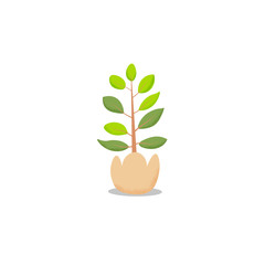 green plant pot in flat design.Tree pot vector white background