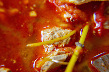 Macro, Red Spicy pork sauce with chicken blood cube. The local food of northern's Thailand, call "Khanom Jeen Nam Ngeaw".