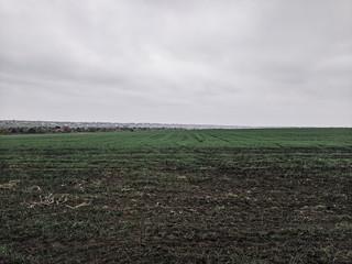 A beautiful landscape of a wheat field in the countryside