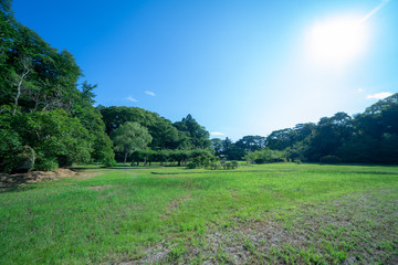 松島の草原と空