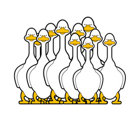 White goose flock isolated cartoon. domestic waterfowl family. vector illustration