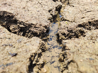 texture of soil