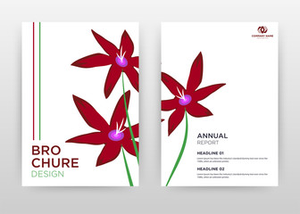 Red flower petal design for annual report, brochure, flyer, poster. Red flower on white background vector illustration for flyer, leaflet, poster. Business abstract A4 brochure template.