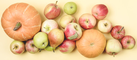 Thanksgiving Background Apples Pumpkins on Yellow Background Long Halloween Thanksgiving day or Seasonal Fall Background Top View