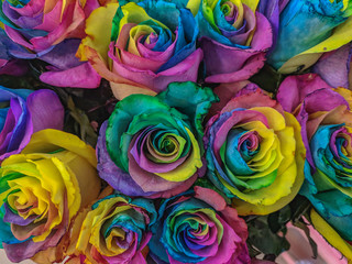 Fototapeta na wymiar beautiful floral background of roses