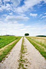 Fototapeta na wymiar Beautiful sunny rural summer landscape with a long gravel road and a diminishing persepective