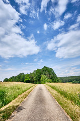 Fototapeta na wymiar Beautiful sunny rural summer landscape with trees and a asphalt road in the middle with a diminishing persepective