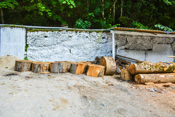 Huge pieces of sawn tree trunks for firewood