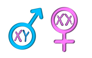 Color graphics with white background, pink female symbol, and blue male symbol with X and Y chromosomes