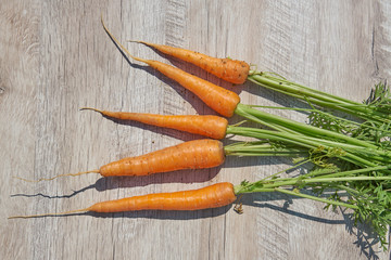 Freshly harvested homegrown organic carrot on wooden table. top view, copy space.