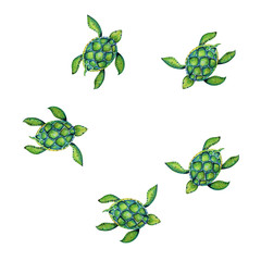 Fototapeta na wymiar Beautiful turtle art water color background illustration