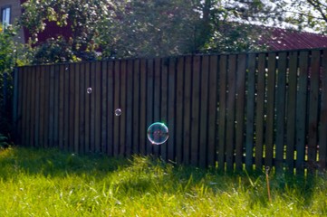 wooden fence and grass