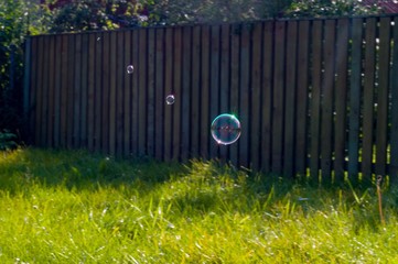 old wooden fence with green grass. Soap bubbles