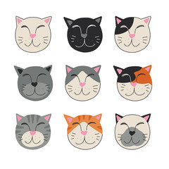 Different kinds of cat coat coloration, colorful collection