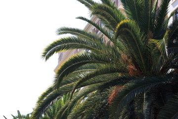 Fototapeta premium Andalusian city in the sunshine