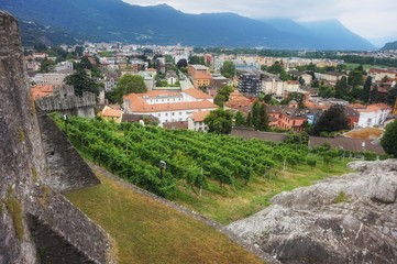 Fototapeta na wymiar View of the vineyards of the town of Bellinzona from the castle wall of Castelgrande